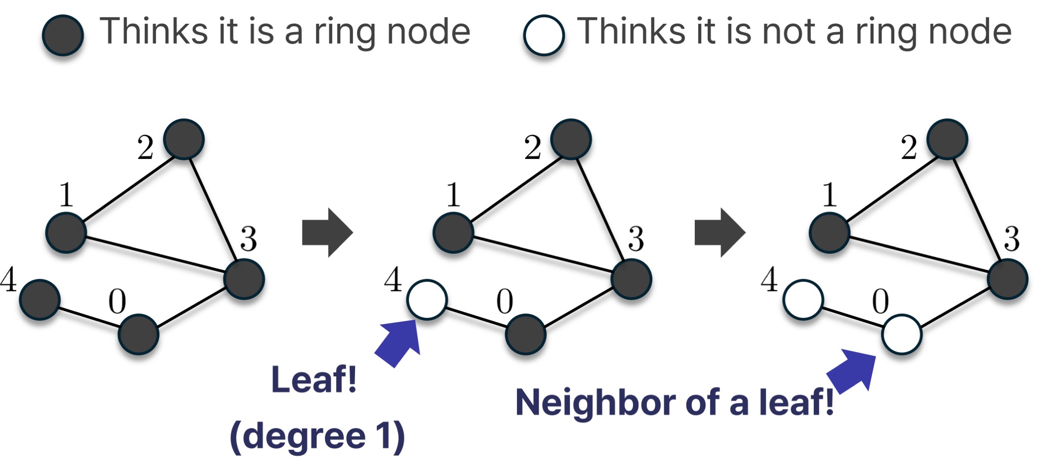 [ICML2026] Application of Mechanistic Interpretability: Understanding Graph Transformers (TokenGT)