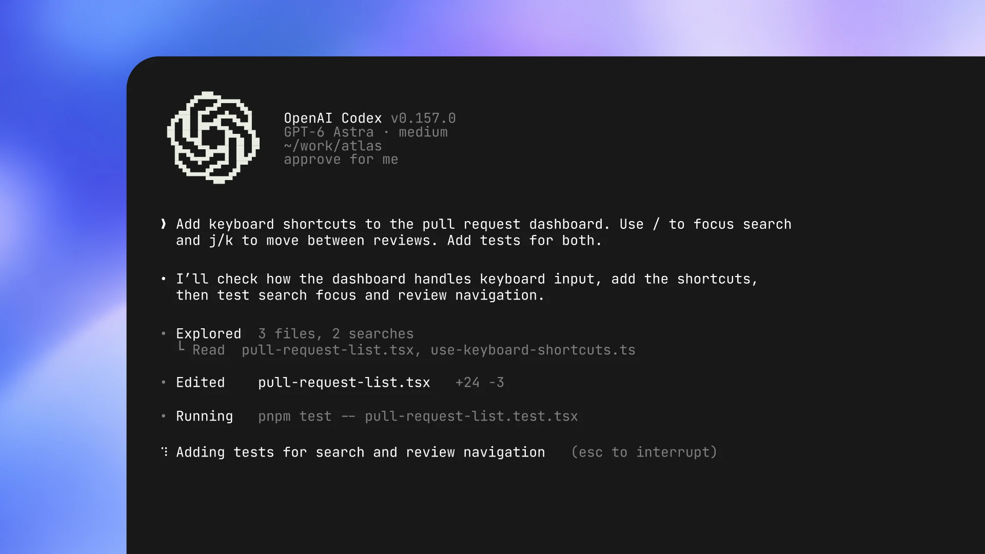 Image 5: Codex CLI terminal interface.