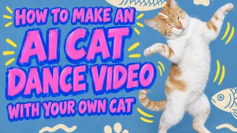 How to Make an AI Cat Dance Video With Your Own Cat